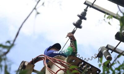 Alcaldía de San Diego avanza en poda y mantenimiento eléctrico - Agencia Carabobeña de Noticias
