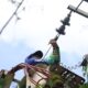 Alcaldía de San Diego avanza en poda y mantenimiento eléctrico - Agencia Carabobeña de Noticias