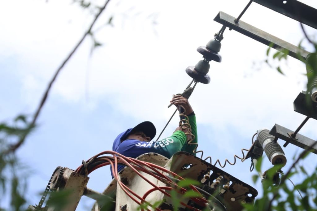 Alcaldía de San Diego avanza en poda y mantenimiento eléctrico - Agencia Carabobeña de Noticias