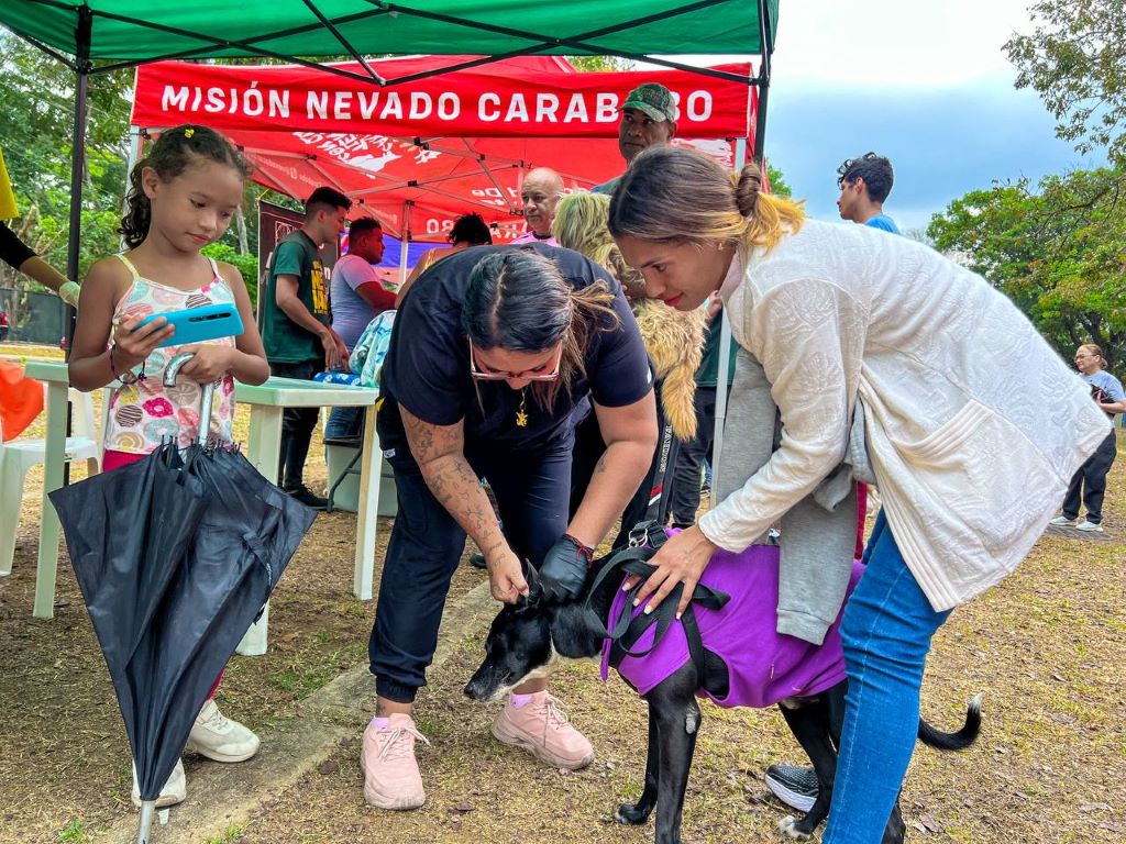 Atención integral a más de 200 mascotas en Naguanagua - Agencia Carabobeña de Noticias