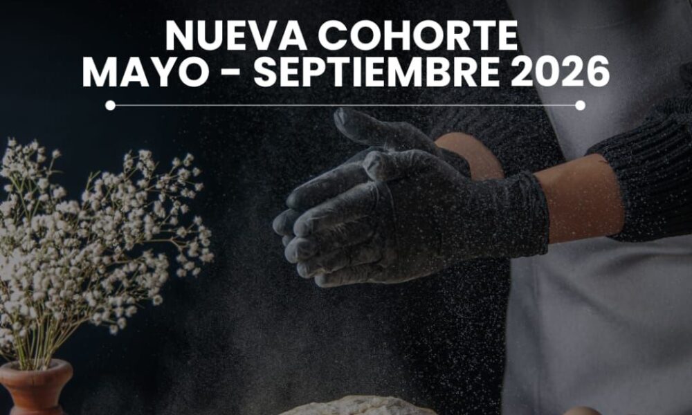 Casa de Arte y Oficios de San Diego abre inscripciones - Agencia Carabobeña de Noticias