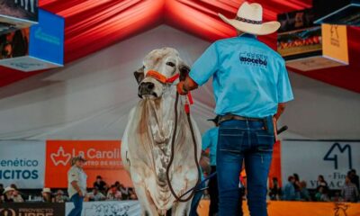 Feria Nacional del Cebú Valencia