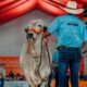Feria Nacional del Cebú Valencia