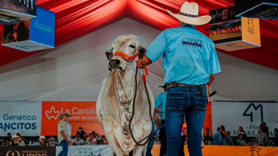 Feria Nacional del Cebú Valencia