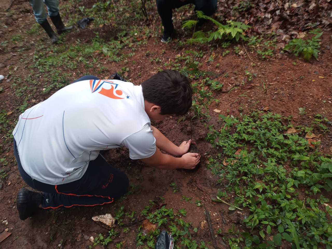Mega Jornada de Reforestación Casupo 2026 - Agencia Carabobeña de Noticias