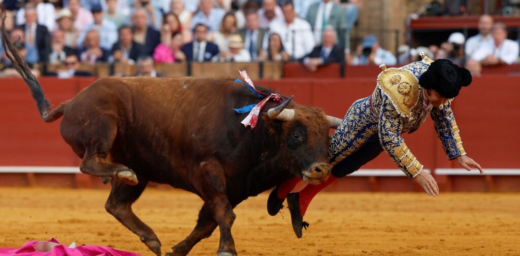 Morante de la Puebla corneado - Agencia Carabobeña de Noticias