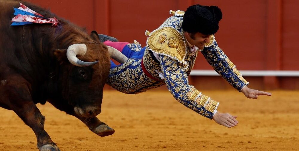 Morante de la Puebla corneado - Agencia Carabobeña de Noticias