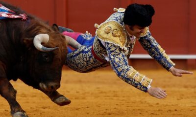 Morante de la Puebla corneado - Agencia Carabobeña de Noticias