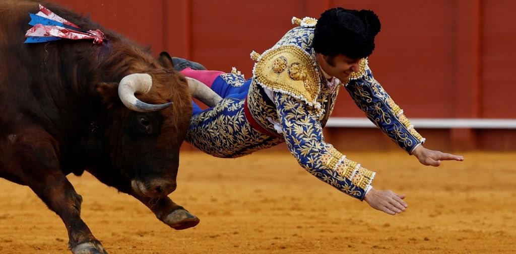 Morante de la Puebla corneado - Agencia Carabobeña de Noticias