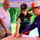 Plan Preventivo de Poda Fitosanitaria en Naguanagua - Agencia Carabobeña de Noticias
