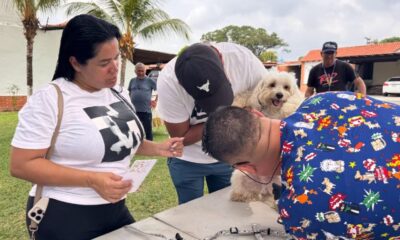 San Diego garantiza bienestar de mascotas - Agencia Carabobeña de Noticias