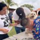 San Diego garantiza bienestar de mascotas - Agencia Carabobeña de Noticias