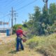 Trabajos de rehabilitación y mantenimiento en Juan José Mora - Agencia Carabobeña de Noticias