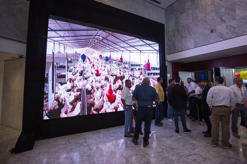 consumo de proteína en Venezuela