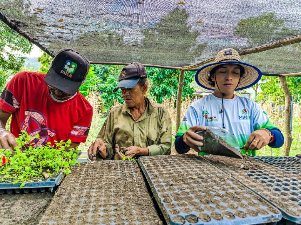 producción de más de 5 mil plantas forestales - Agencia Carabobeña de Noticias