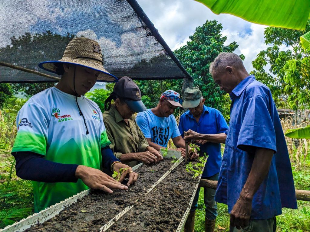 producción de más de 5 mil plantas forestales - Agencia Carabobeña de Noticias