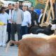 Expo Feria Bufalina Caprina y Ovina - Agencia Carabobeña de Noticias