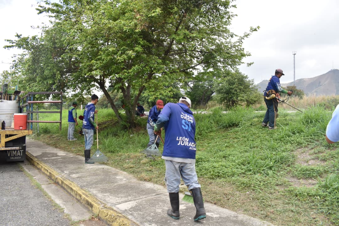 IAM Fumcosandi realiza labores de desmalezado - Agencia Carabobeña de Noticias