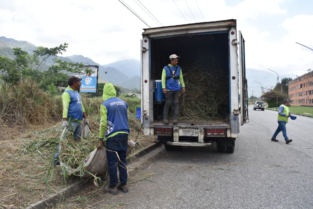 IAM Fumcosandi realiza labores de desmalezado - Agencia Carabobeña de Noticias