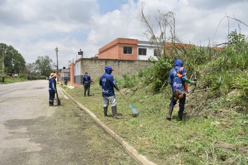 IAM Fumcosandi realiza labores de desmalezado - Agencia Carabobeña de Noticias