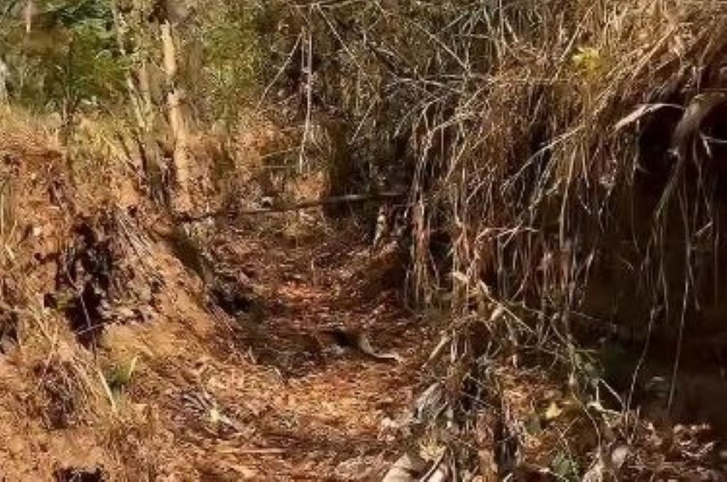 Inician canalización en Mañongo - Agencia Carabobeña de Noticias
