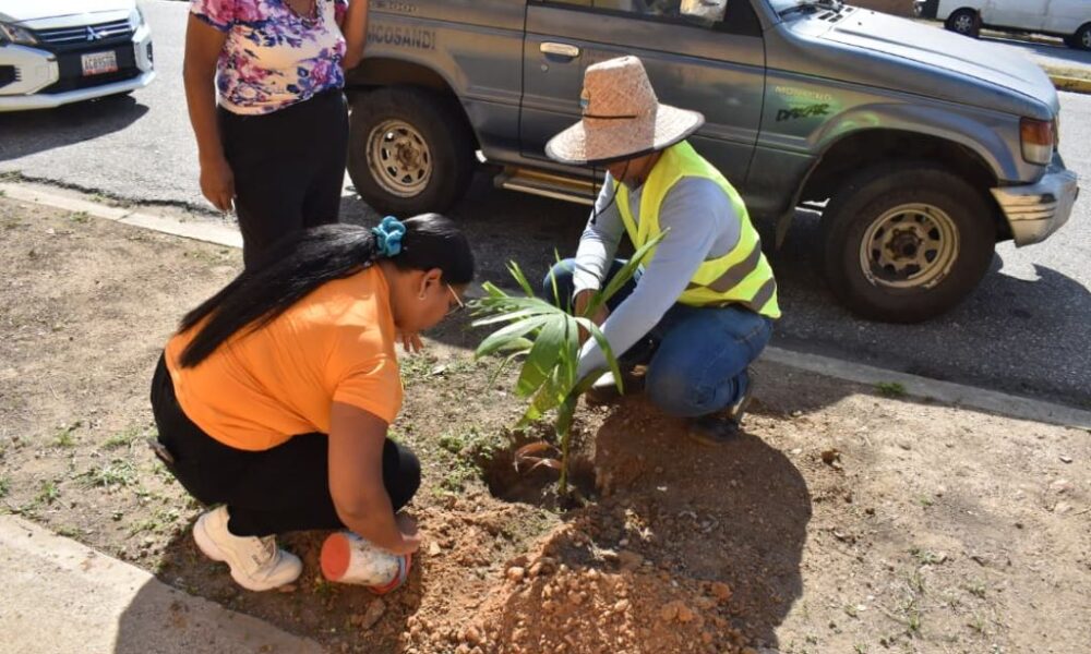 Jornada de arborización en San Diego - Agencia Carabobeña de Noticias