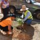 Jornada de arborización en San Diego - Agencia Carabobeña de Noticias