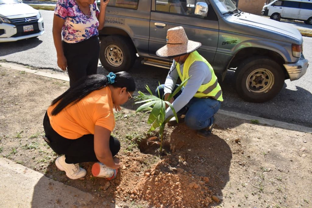 Jornada de arborización en San Diego - Agencia Carabobeña de Noticias