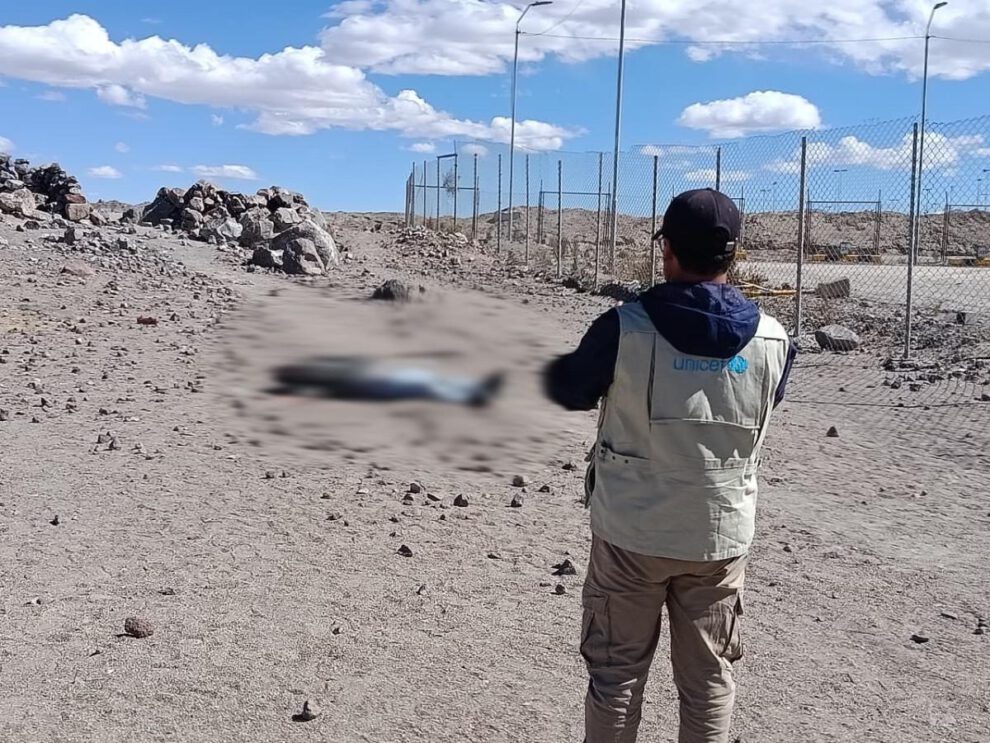 Migrante venezolano murió en frontera entre Chile y Bolivia - Agencia Carabobeña de Noticias
