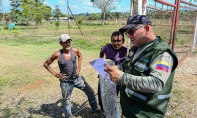 Minec inspecciones