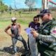 Minec inspecciones