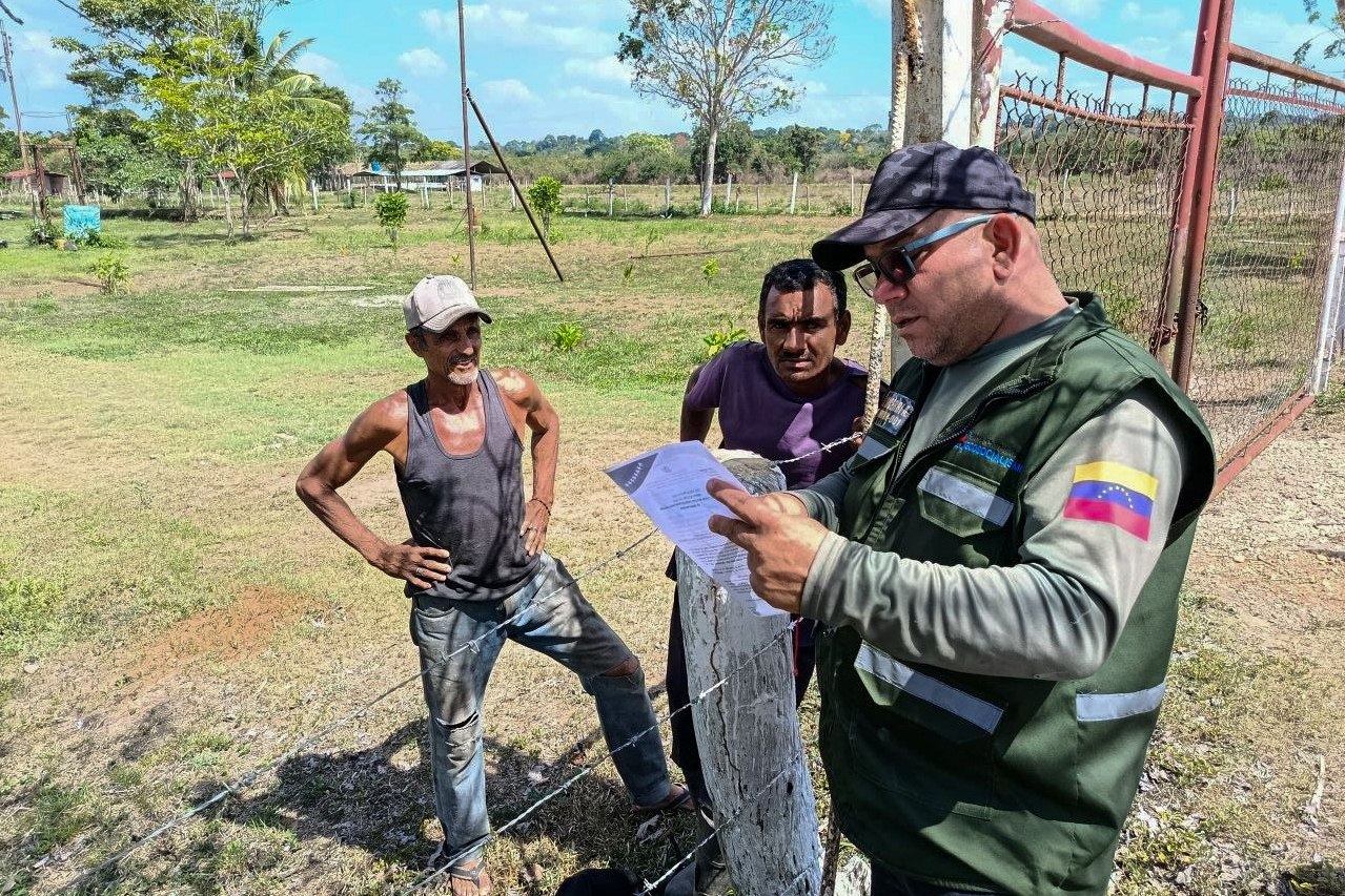 Minec inspecciones