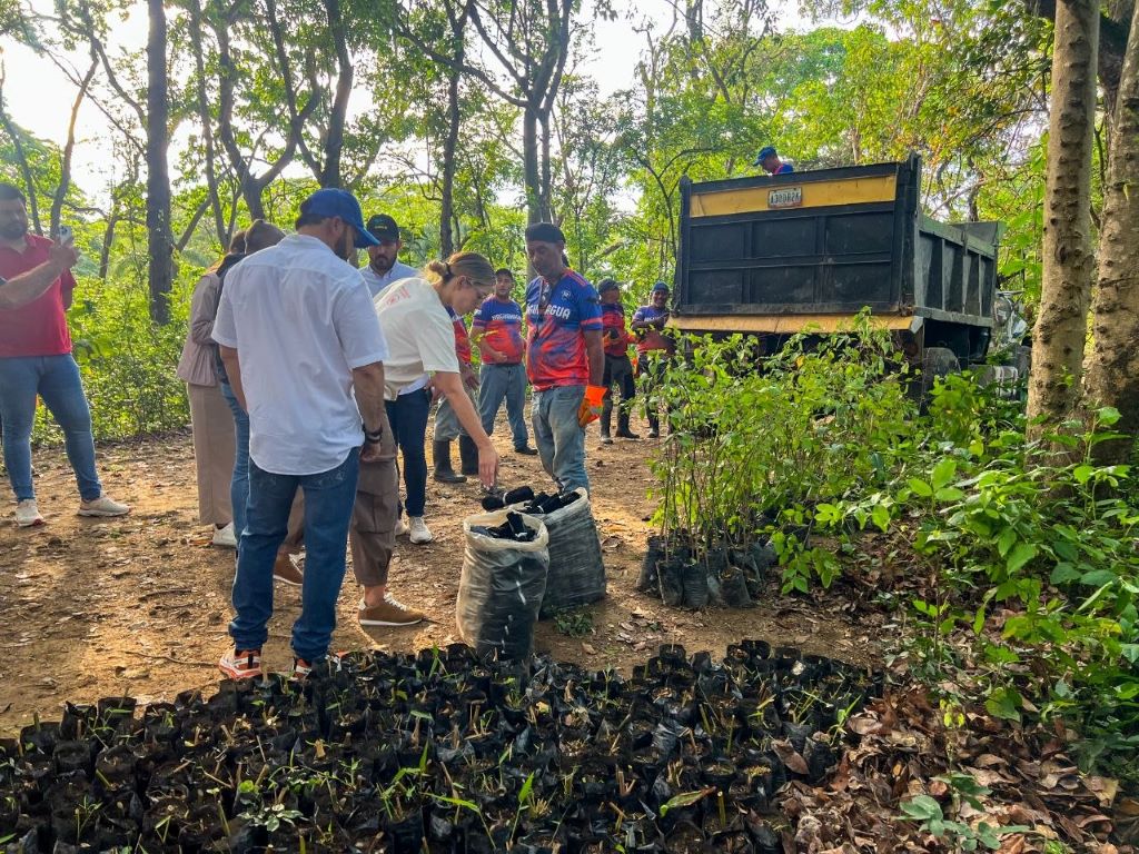 Plan de rehabilitación del Jardín Botánico de Naguanagua - Agencia Carabobeña de Noticias