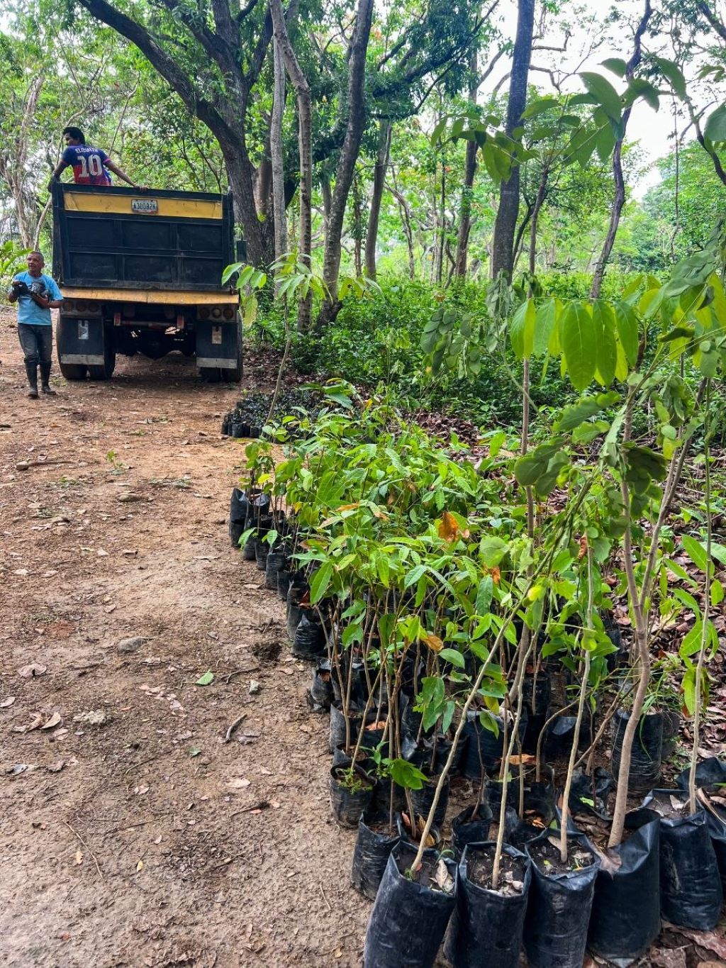 Plan de rehabilitación del Jardín Botánico de Naguanagua - Agencia Carabobeña de Noticias
