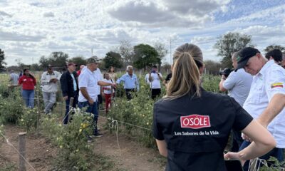 Siembra Esperanza Anaco