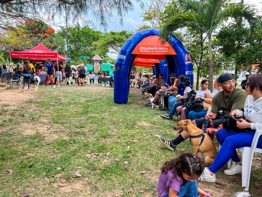atención de salud a mascotas de Naguanagua - Agencia Carabobeña de Noticias