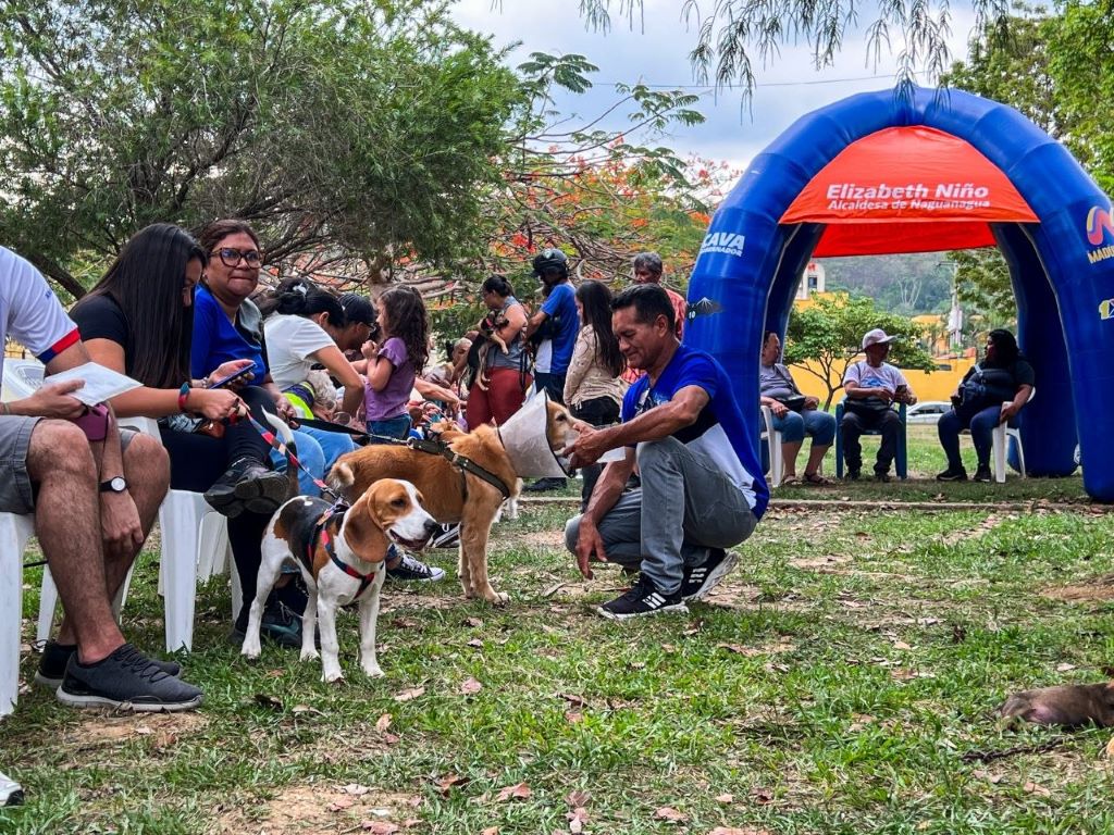 atención de salud a mascotas de Naguanagua - Agencia Carabobeña de Noticias
