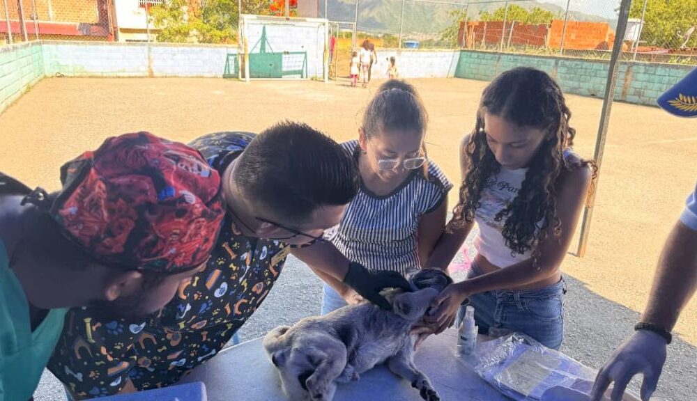 Asistencia veterinaria en San Diego - Agencia Carabobeña de Noticias