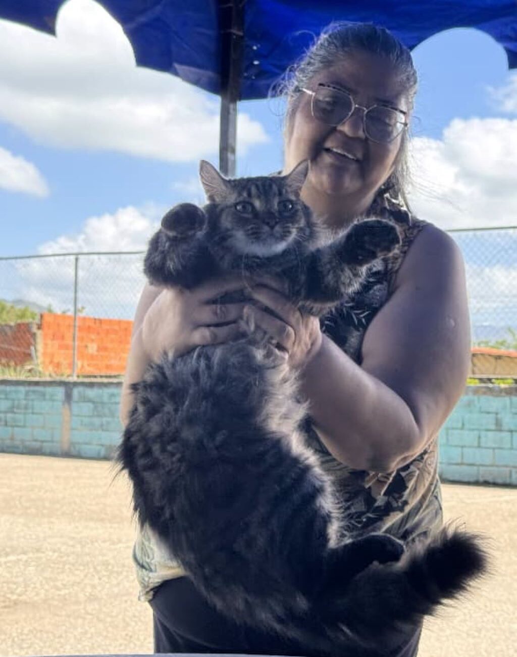 Asistencia veterinaria en San Diego - Agencia Carabobeña de Noticias