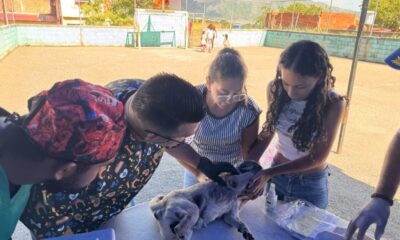 Asistencia veterinaria en San Diego - Agencia Carabobeña de Noticias