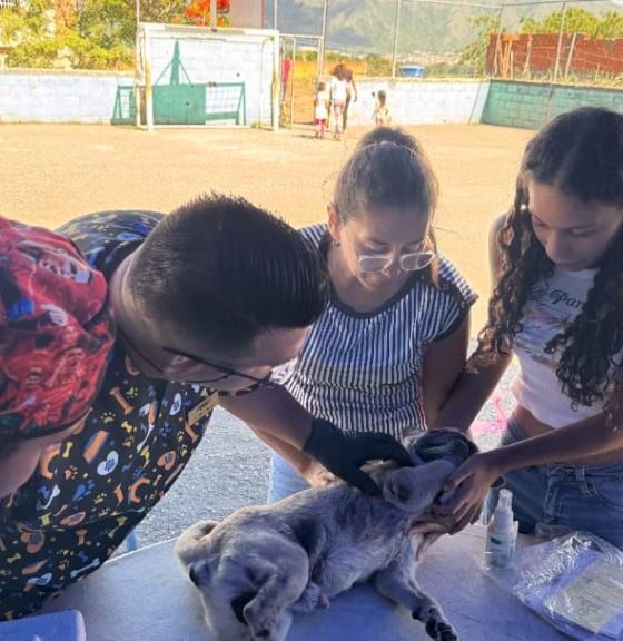 Asistencia veterinaria en San Diego - Agencia Carabobeña de Noticias