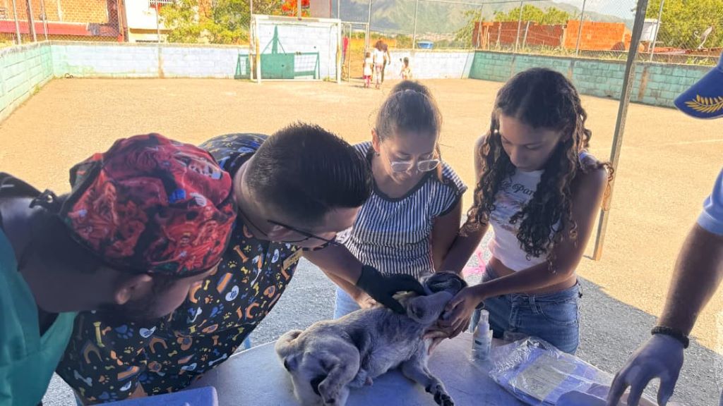 Asistencia veterinaria en San Diego - Agencia Carabobeña de Noticias