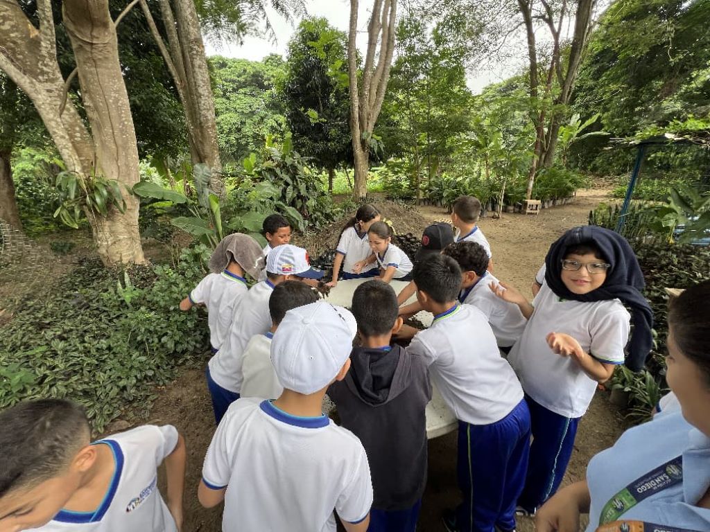 Fumcosandi apuesta por reforestación con bombas de semilla - Agencia Carabobeña de Noticias