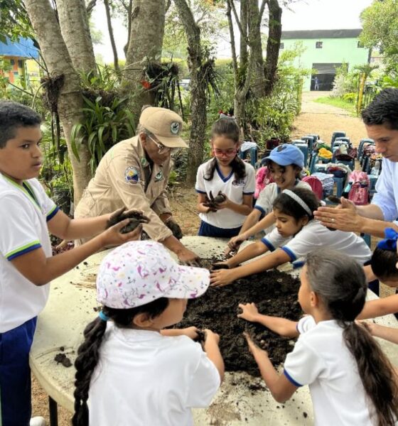 Fumcosandi apuesta por reforestación con bombas de semilla - Agencia Carabobeña de Noticias