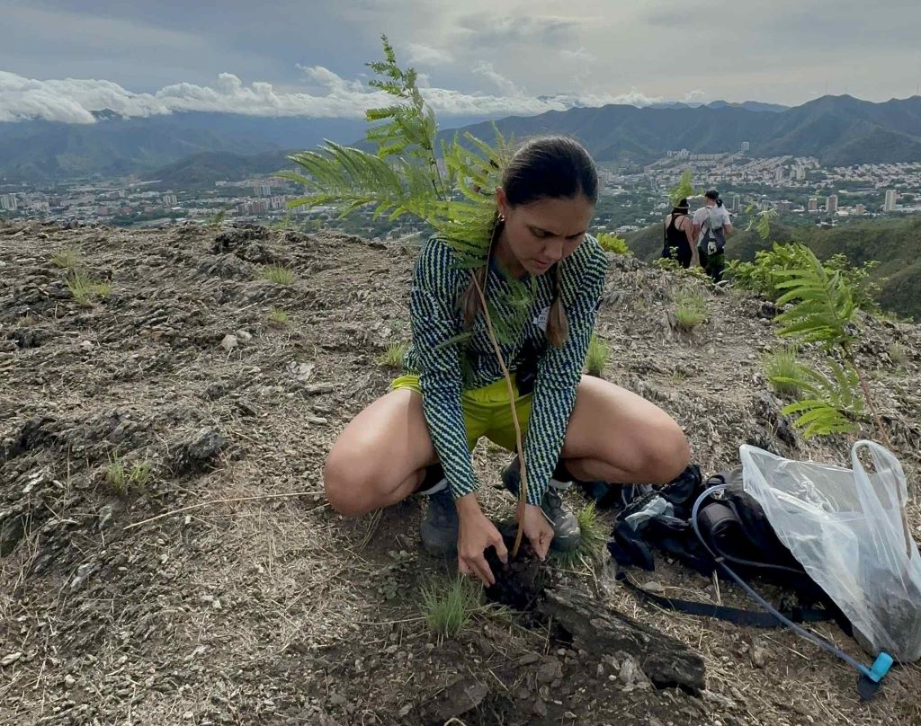 Mega jornada de reforestación en cerro El Casupo - Agencia Carabobeña de Noticias