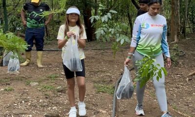 Mega jornada de reforestación en cerro El Casupo - Agencia Carabobeña de Noticias