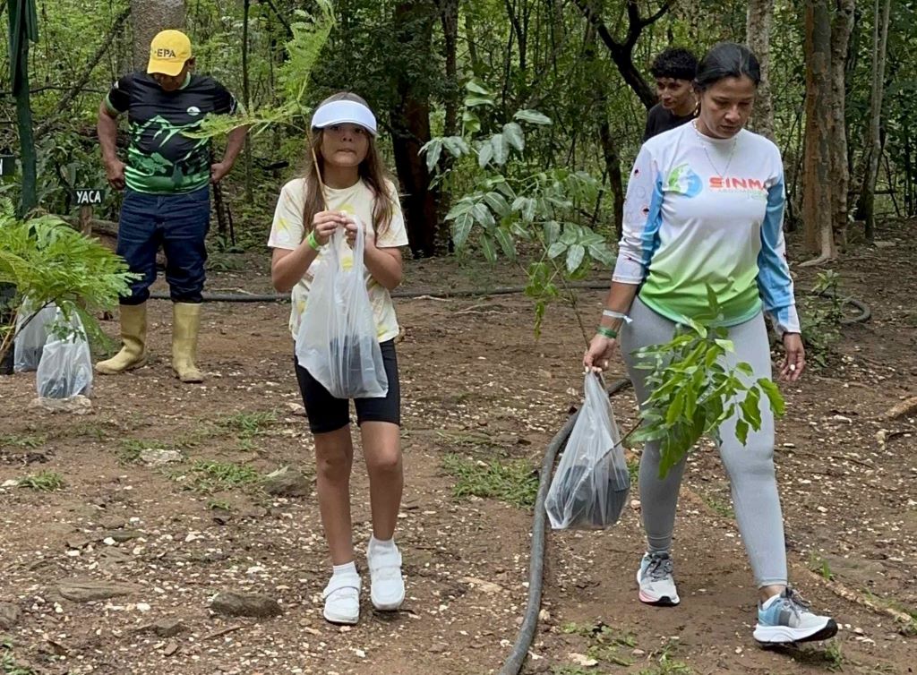 Mega jornada de reforestación en cerro El Casupo - Agencia Carabobeña de Noticias
