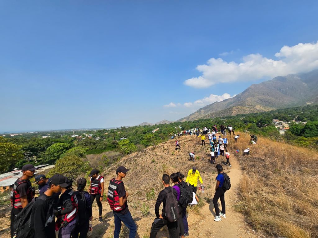 Plan de Reforestación en zonas del Parque Nacional Henri Pittier - Agencia Carabobeña de Noticias