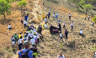 Plan de Reforestación en zonas del Parque Nacional Henri Pittier - Agencia Carabobeña de Noticias