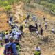 Plan de Reforestación en zonas del Parque Nacional Henri Pittier - Agencia Carabobeña de Noticias